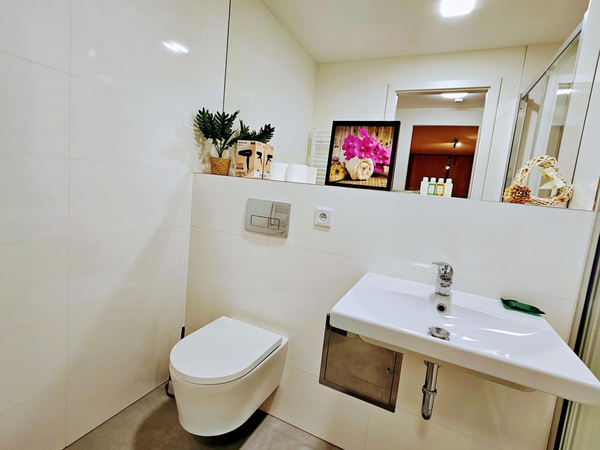 Live-inn 2 Bdr Family For 1-8 Guests, 20 Mins To Center, Lift, Gym, Reception, Parking, Roof Terrace, Game & Party * Prague